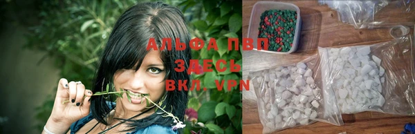 дживик Армянск
