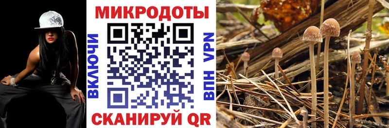 Галлюциногенные грибы ЛСД  Алагир 