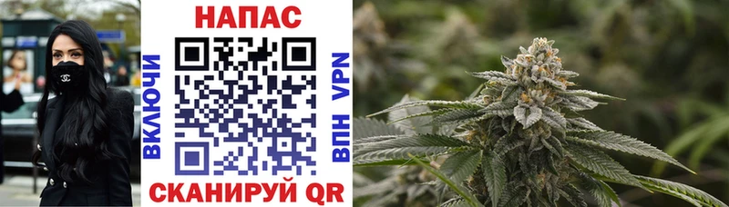 кракен ссылки  Алагир  Каннабис Ganja 
